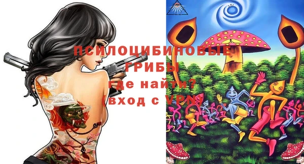 ECSTASY Вяземский