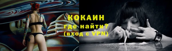 ECSTASY Вяземский
