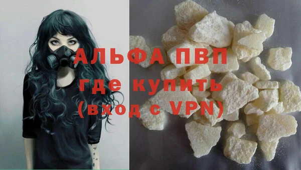 ECSTASY Вяземский
