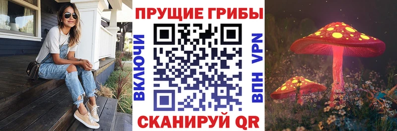Галлюциногенные грибы мицелий  Первомайск 